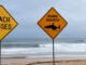 Australia shuts down seashores over shark hazard as officers investigate doable dingo assault Australia shuts down seashores over shark hazard as officers investigate doable dingo assault