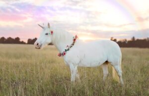 Meet the original European unicorns of 2026 Meet the original European unicorns of 2026