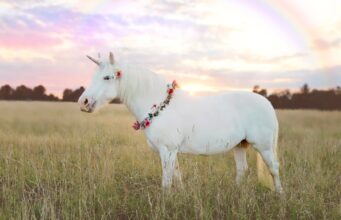 Meet the original European unicorns of 2026 Meet the original European unicorns of 2026