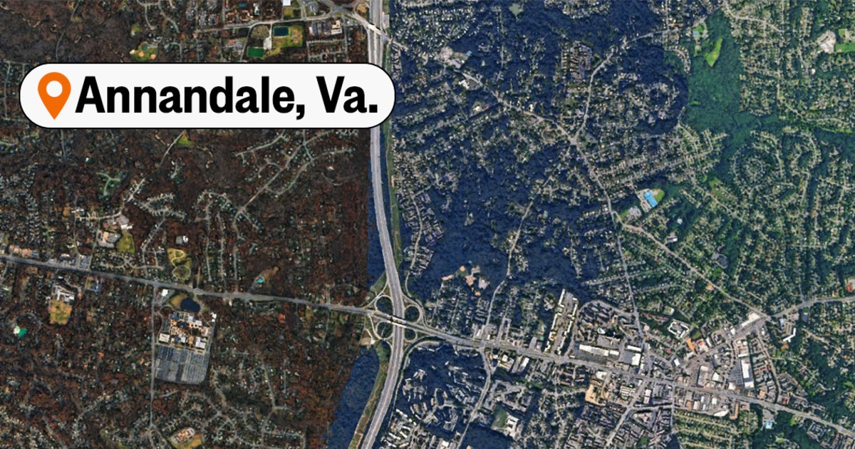 Virginia avenue rage stabbing leaves lady and dogs slow, three folk wounded Virginia avenue rage stabbing leaves lady and dogs slow, three folk wounded