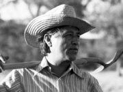 Cesar Chavez abuse allegations spur a motion to disavow the particular person — with out erasing Latino history Cesar Chavez abuse allegations spur a motion to disavow the particular person — with out erasing Latino history