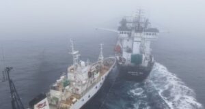 Activist’s neighborhood accused of ‘deliberate assault’ on Antarctic krill trawler Activist’s neighborhood accused of ‘deliberate assault’ on Antarctic krill trawler