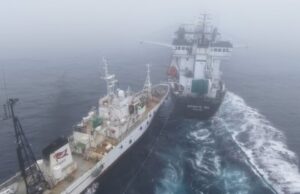 Activist’s neighborhood accused of ‘deliberate assault’ on Antarctic krill trawler Activist’s neighborhood accused of ‘deliberate assault’ on Antarctic krill trawler