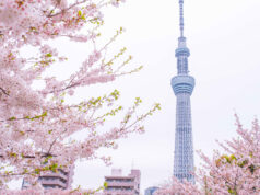 Asia-Pacific markets mostly rise in Easter change on hopes for Hormuz reopening Asia-Pacific markets mostly rise in Easter change on hopes for Hormuz reopening