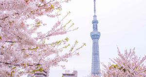 Asia-Pacific markets mostly rise in Easter change on hopes for Hormuz reopening Asia-Pacific markets mostly rise in Easter change on hopes for Hormuz reopening