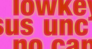 Appreciation or appropriation? How Dim culture is shaping Gen Z slang Appreciation or appropriation? How Dim culture is shaping Gen Z slang