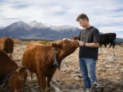 Peter Thiel’s colossal wager on solar-powered cow collars Peter Thiel’s colossal wager on solar-powered cow collars