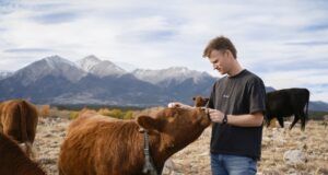 Peter Thiel’s colossal wager on solar-powered cow collars Peter Thiel’s colossal wager on solar-powered cow collars