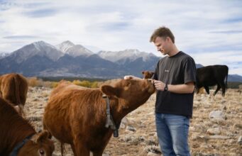 Peter Thiel’s colossal wager on solar-powered cow collars Peter Thiel’s colossal wager on solar-powered cow collars