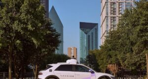 A self-riding automobile in Texas hit and killed a mother duck, sparking neighborhood outrage A self-riding automobile in Texas hit and killed a mother duck, sparking neighborhood outrage