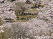 Japan Struggles With What Some There Name “Tourism Air pollution” Japan Struggles With What Some There Name “Tourism Air pollution”