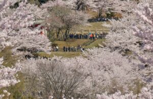 Japan Struggles With What Some There Name “Tourism Air pollution” Japan Struggles With What Some There Name “Tourism Air pollution”