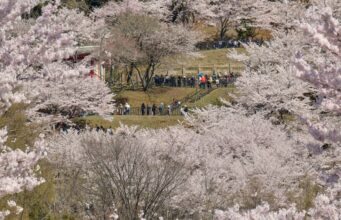 Japan Struggles With What Some There Name “Tourism Air pollution” Japan Struggles With What Some There Name “Tourism Air pollution”