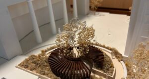 Virginia university plans memorial situation for human bones found discarded in successfully years ago Virginia university plans memorial situation for human bones found discarded in successfully years ago