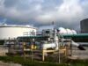 Oil prices tumble as Trump pauses Hormuz escort effort Oil prices tumble as Trump pauses Hormuz escort effort