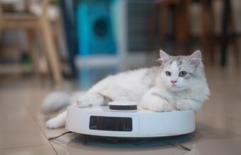 Drained of stubborn pet hair? Be definite that you’re the utilization of the upright vacuum Drained of stubborn pet hair? Be definite that you’re the utilization of the upright vacuum