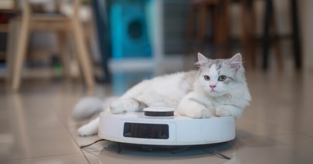 Drained of stubborn pet hair? Be definite that you’re the utilization of the upright vacuum