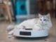 Drained of stubborn pet hair? Be definite that you’re the utilization of the upright vacuum Drained of stubborn pet hair? Be definite that you’re the utilization of the upright vacuum