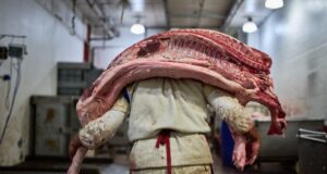 Crimson meat consumption in Argentina falls to lowest stage in two decades Crimson meat consumption in Argentina falls to lowest stage in two decades