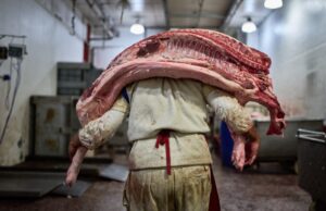 Crimson meat consumption in Argentina falls to lowest stage in two decades Crimson meat consumption in Argentina falls to lowest stage in two decades