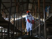 2d therapy center predicament ablaze in Congo, with 18 suspected cases leaving… 2d therapy center predicament ablaze in Congo, with 18 suspected cases leaving…