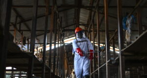 2d therapy center predicament ablaze in Congo, with 18 suspected cases leaving… 2d therapy center predicament ablaze in Congo, with 18 suspected cases leaving…