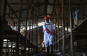 2d therapy center predicament ablaze in Congo, with 18 suspected cases leaving… 2d therapy center predicament ablaze in Congo, with 18 suspected cases leaving…