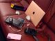 Squishmallows, dentures, and an ‘I Heart Sizzling Dads’ get: Uber has discovered hundreds of objects left in robotaxis Squishmallows, dentures, and an ‘I Heart Sizzling Dads’ get: Uber has discovered hundreds of objects left in robotaxis