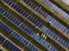 Solar energy beats coal for electricity period despite Trump policies Solar energy beats coal for electricity period despite Trump policies