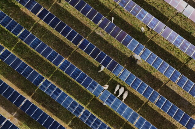solar-energy-beats-coal-for-electricity-period-despite-trump-policies.jpg Solar energy beats coal for electricity period despite Trump policies