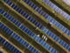 Solar energy beats coal for electricity period despite Trump policies Solar energy beats coal for electricity period despite Trump policies