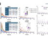 How considerable of a brain-protecting drug reaches a girl’s brain shifts along with her hormonal cycle, peep finds How considerable of a brain-protecting drug reaches a girl’s brain shifts along with her hormonal cycle, peep finds