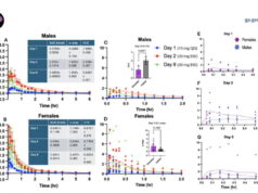 How considerable of a brain-protecting drug reaches a girl’s brain shifts along with her hormonal cycle, peep finds How considerable of a brain-protecting drug reaches a girl’s brain shifts along with her hormonal cycle, peep finds