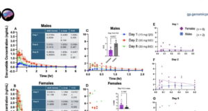How considerable of a brain-protecting drug reaches a girl’s brain shifts along with her hormonal cycle, peep finds How considerable of a brain-protecting drug reaches a girl’s brain shifts along with her hormonal cycle, peep finds