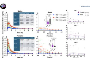 How considerable of a brain-protecting drug reaches a girl’s brain shifts along with her hormonal cycle, peep finds How considerable of a brain-protecting drug reaches a girl’s brain shifts along with her hormonal cycle, peep finds