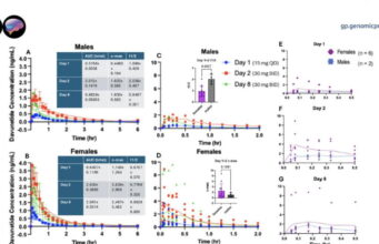 How considerable of a brain-protecting drug reaches a girl’s brain shifts along with her hormonal cycle, peep finds How considerable of a brain-protecting drug reaches a girl’s brain shifts along with her hormonal cycle, peep finds