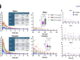 How considerable of a brain-protecting drug reaches a girl’s brain shifts along with her hormonal cycle, peep finds How considerable of a brain-protecting drug reaches a girl’s brain shifts along with her hormonal cycle, peep finds