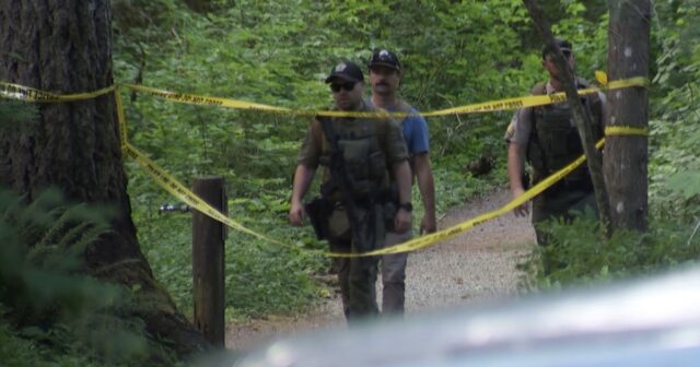 shadowy-undergo-injures-teen-hiker-in-washington-dispute-mountain-dwelling.jpg Shadowy undergo injures teen hiker in Washington dispute mountain dwelling