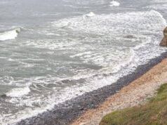 Man has hand blown off by explosive whereas cleansing July Fourth debris off California shoreline Man has hand blown off by explosive whereas cleansing July Fourth debris off California shoreline