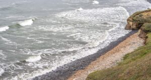 Man has hand blown off by explosive whereas cleansing July Fourth debris off California shoreline Man has hand blown off by explosive whereas cleansing July Fourth debris off California shoreline