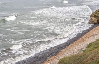 Man has hand blown off by explosive whereas cleansing July Fourth debris off California shoreline Man has hand blown off by explosive whereas cleansing July Fourth debris off California shoreline