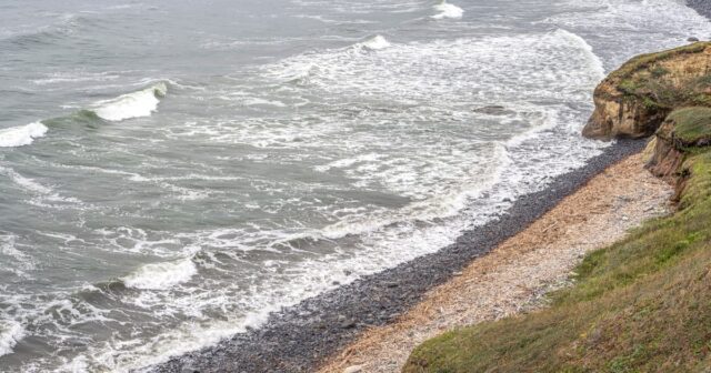 Man has hand blown off by explosive whereas cleansing July Fourth debris off California shoreline