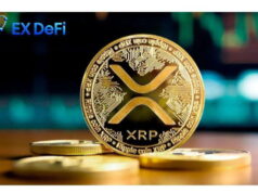 EX DeFi Spotlights XRP’s Trend Following Ripples MiCA Authorization In the end of Europe. EX DeFi Spotlights XRP’s Trend Following Ripples MiCA Authorization In the end of Europe.