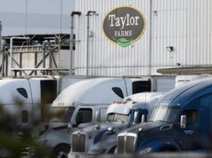 FDA says Taylor Farms lettuce sample examined for cyclospora produced false obvious for the parasite FDA says Taylor Farms lettuce sample examined for cyclospora produced false obvious for the parasite