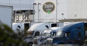 FDA says Taylor Farms lettuce sample examined for cyclospora produced false obvious for the parasite FDA says Taylor Farms lettuce sample examined for cyclospora produced false obvious for the parasite