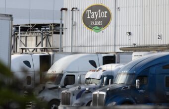 FDA says Taylor Farms lettuce sample examined for cyclospora produced false obvious for the parasite FDA says Taylor Farms lettuce sample examined for cyclospora produced false obvious for the parasite