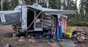 Father, son charged with kidnapping 2 U.S. Forest Provider biologists at gunpoint Father, son charged with kidnapping 2 U.S. Forest Provider biologists at gunpoint