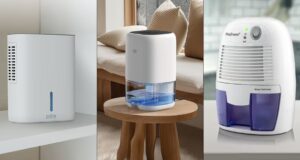The one dehumidifiers to utilize at the same time as you dangle a little room or residence The one dehumidifiers to utilize at the same time as you dangle a little room or residence