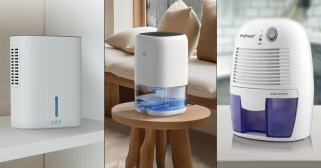 the-one-dehumidifiers-to-utilize-at-the-same-time-as-you-dangle-a-little-room-or-residence.jpg The one dehumidifiers to utilize at the same time as you dangle a little room or residence