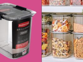 This Rubbermaid container retains meals new, offers organized and your pantry attempting gorgeous — it’s $12 this day